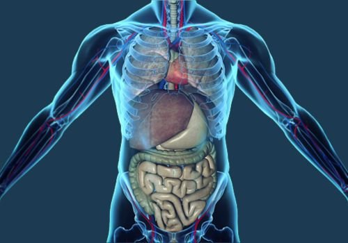 1 - Advanced Body Scan | Early Detection CT Heart & Cancer Screening